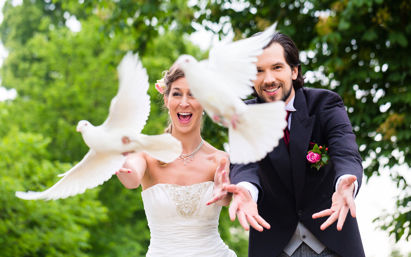 wedding